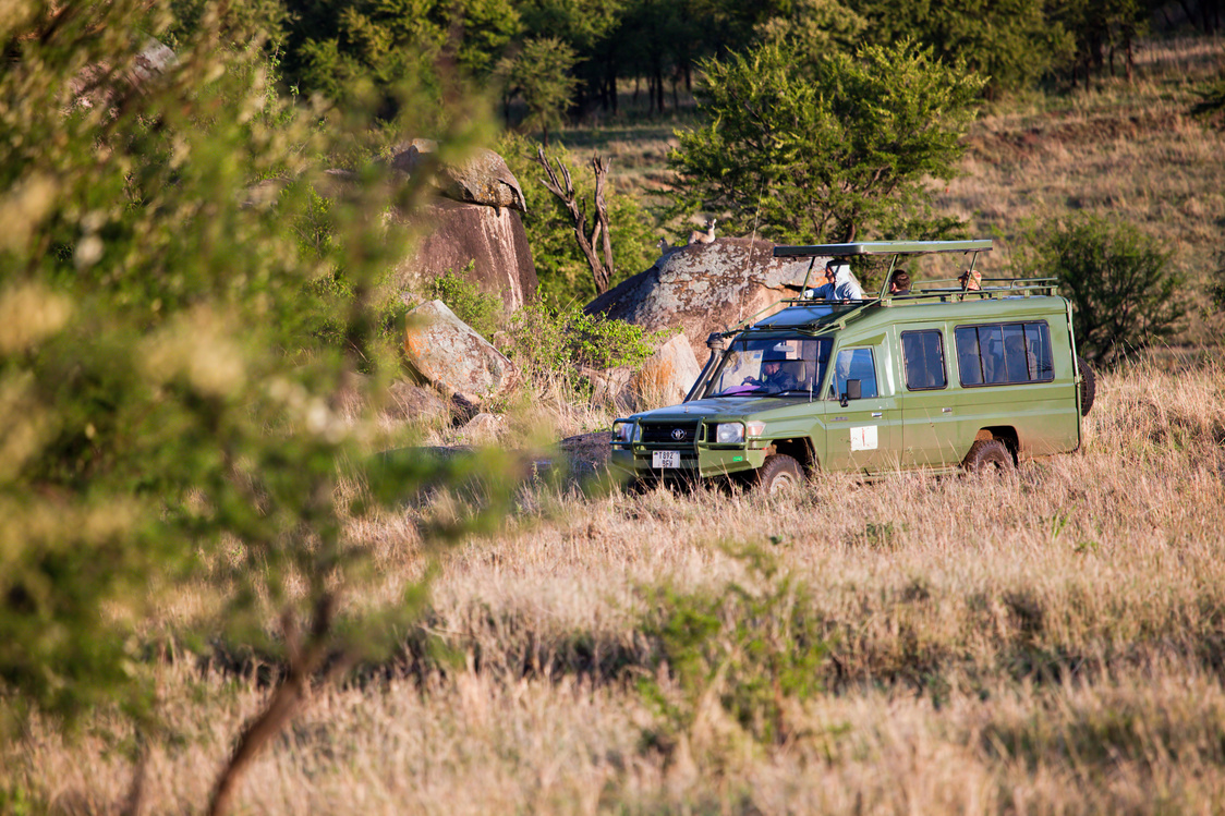 Jeep with Tourists on Safari